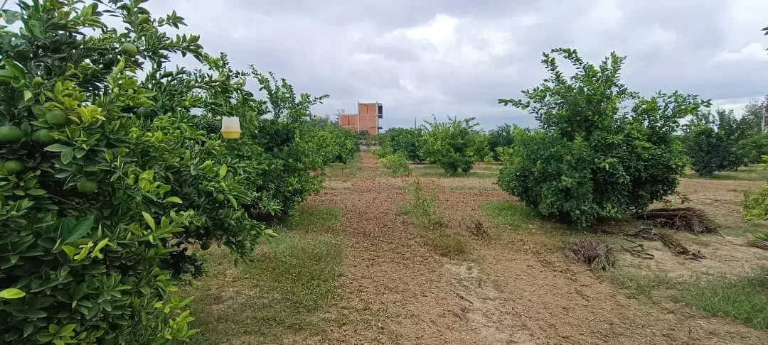 ۲۰هزار متر زمین جاده دریا گهرباران قابل ساخت ساز|فروش زمین و ملک کلنگی|طبقده, |دیوار