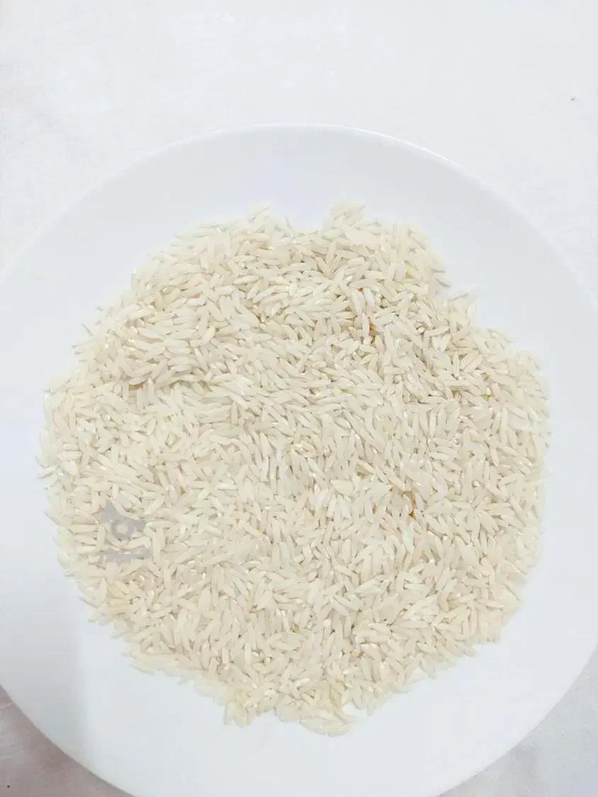 فروش برنج هاشمی|خوردنی و آشامیدنی|مرند, |دیوار