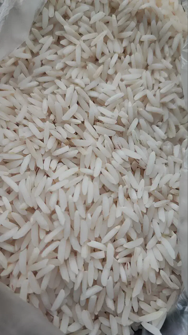 برنج هاشمی درجه یک شفت|خوردنی و آشامیدنی|رشت, رودبارتان|دیوار