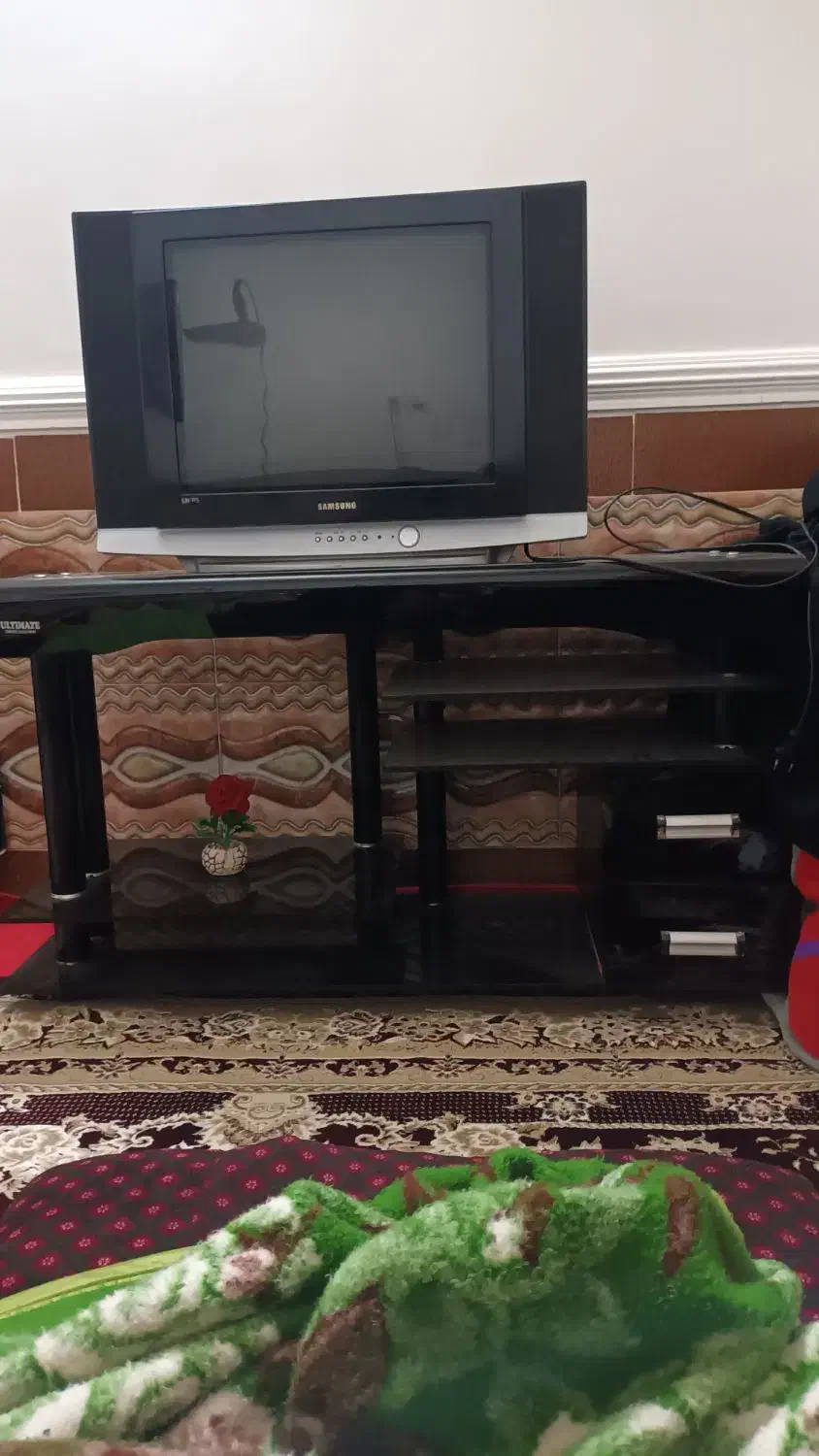 تلوزیون|تلویزیون و پروژکتور|مزرعه کتول, |دیوار