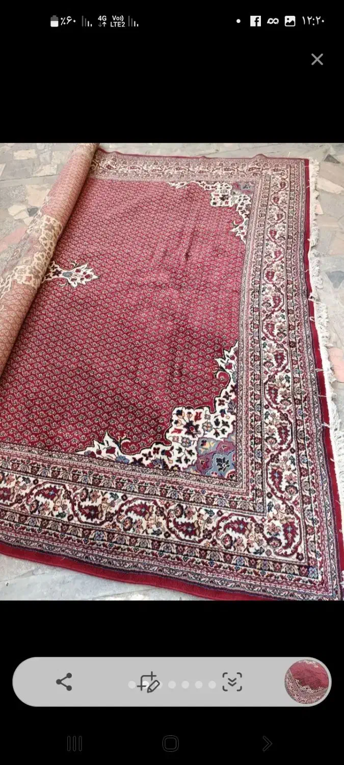 فرش|فرش|تایباد, |دیوار