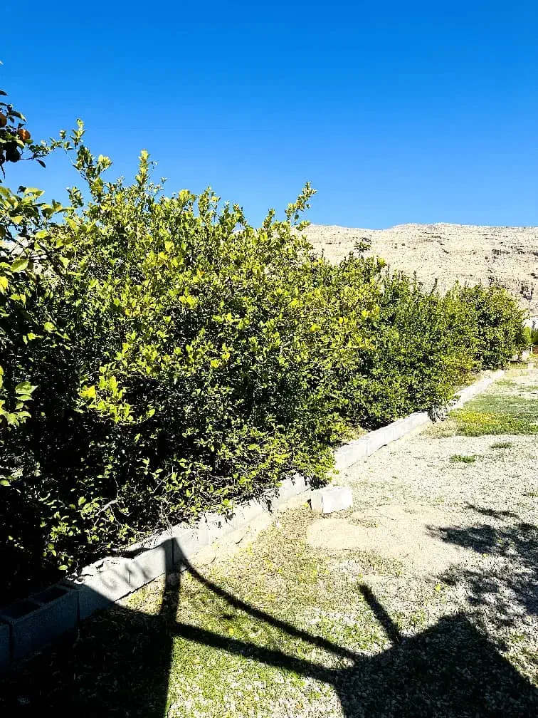 فروش باغ ویلائی گچساران روستای کلاغ نشین|فروش خانه و ویلا|دوگنبدان, |دیوار