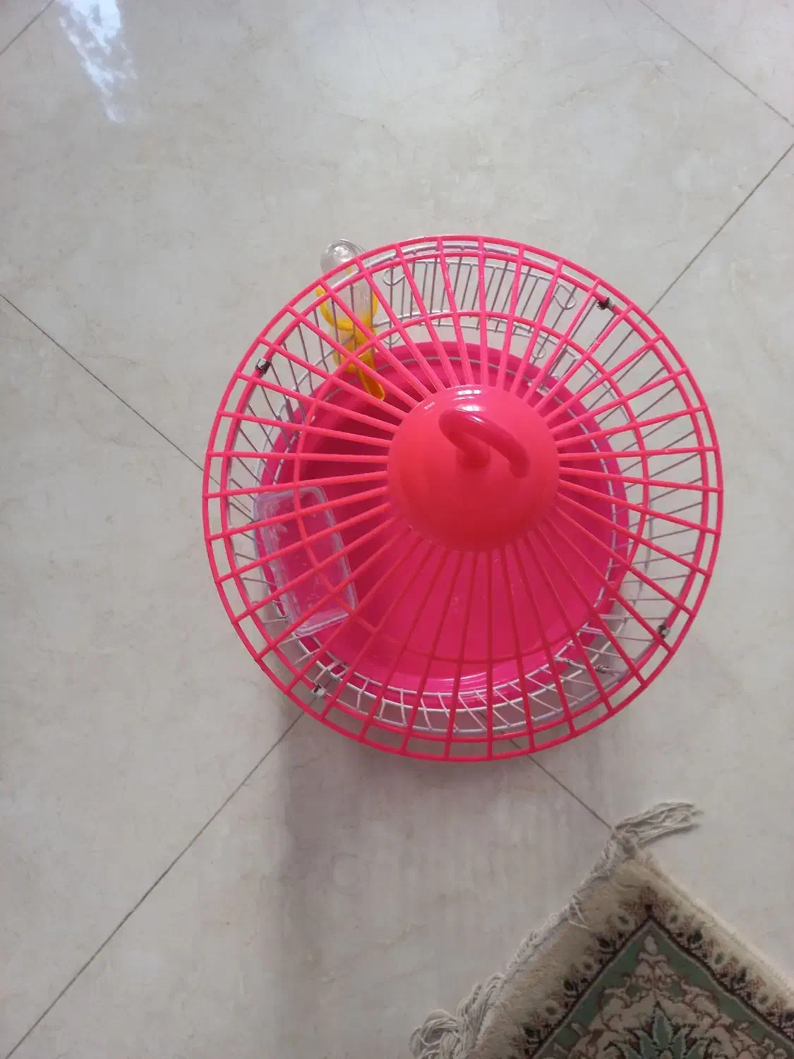 قفس|لوازم جانبی حیوانات|کرج, عظیمیه|دیوار