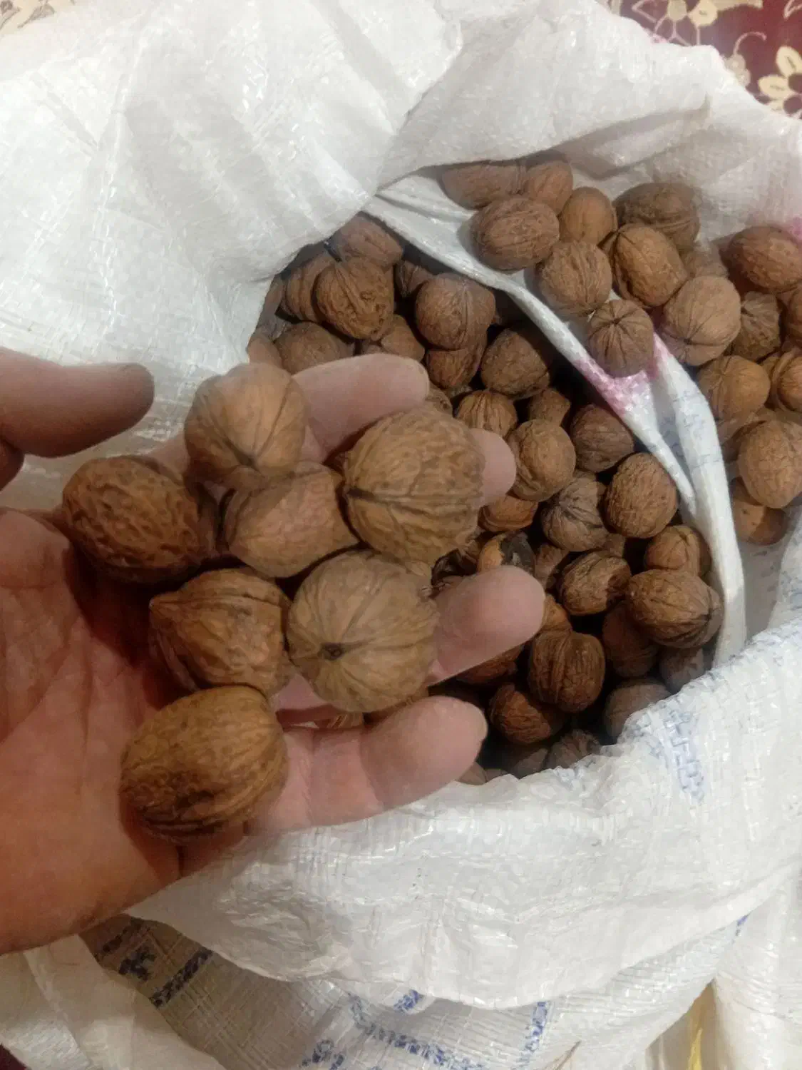 بادام وگردو امسال|خوردنی و آشامیدنی|انزل, |دیوار