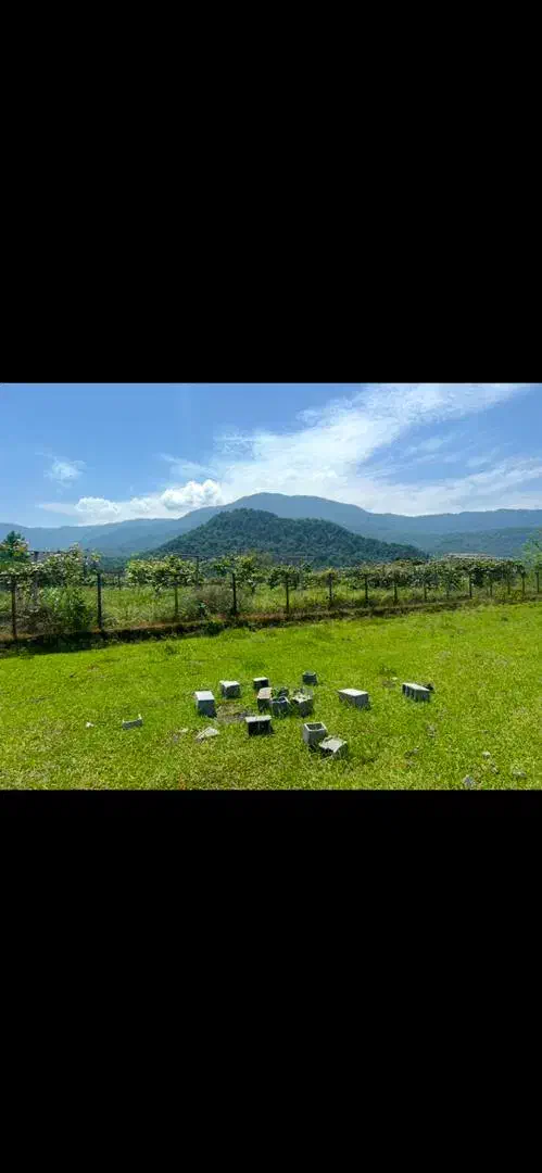 فروش زمین شهرکی سند تک برگ مشاع کاربری مسکونی|فروش زمین و ملک کلنگی|سلمانشهر, |دیوار