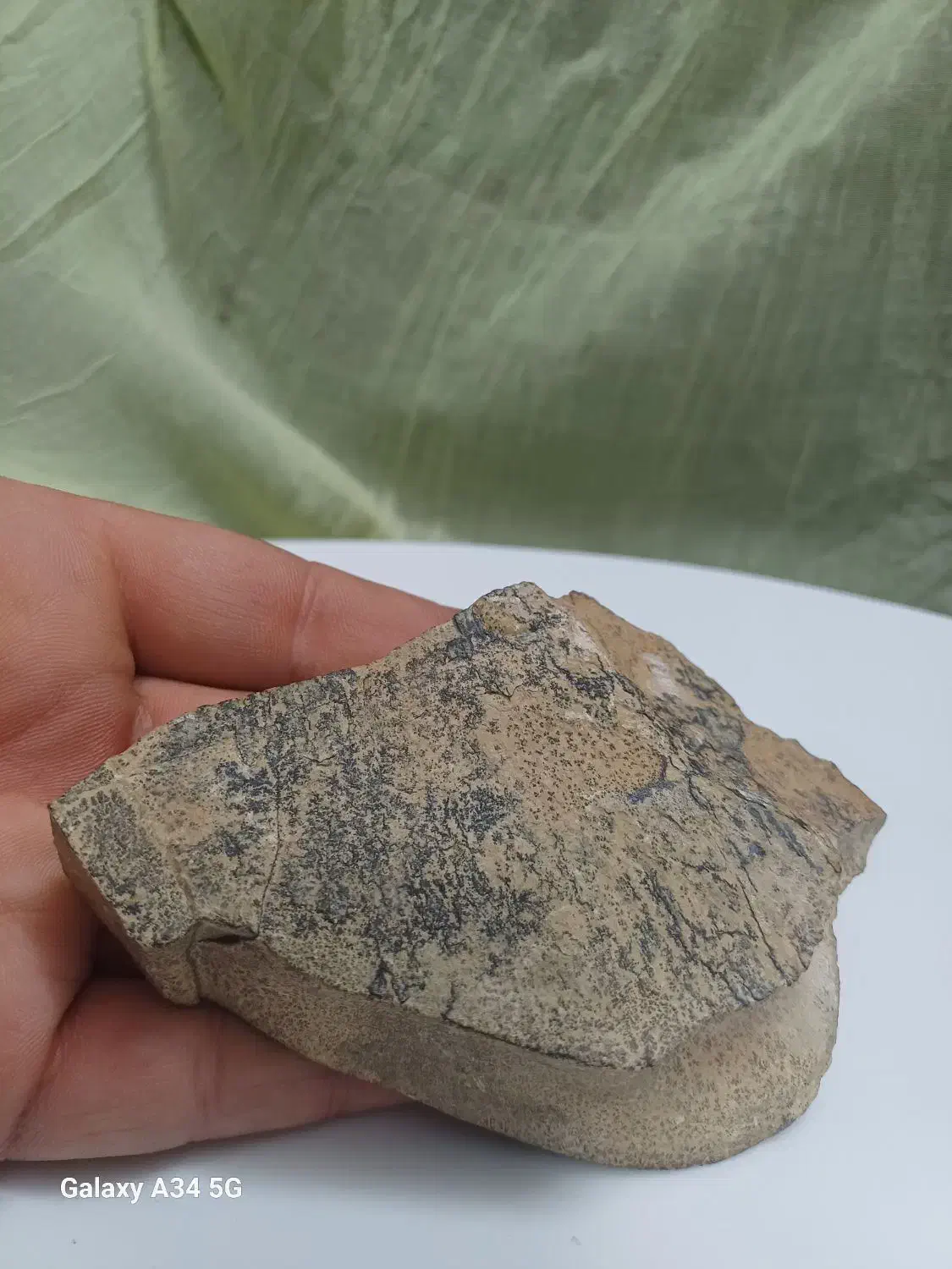 سنگ شجر|جواهرات|اصفهان, پوریای ولی|دیوار