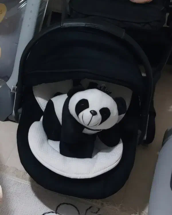 گهواره و کریر|اسباب و اثاث بچه|شاهینشهر, شهرک گلدیس|دیوار