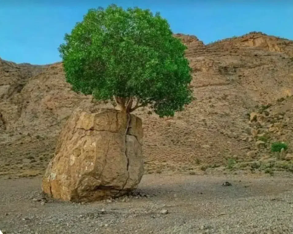 استخدام نیرو فنی(جوشکاری سوراخکاری سنگ زنی)|استخدام صنعتی، فنی، مهندسی|نجفآباد, شهرک صنعتی نجف آباد|دیوار