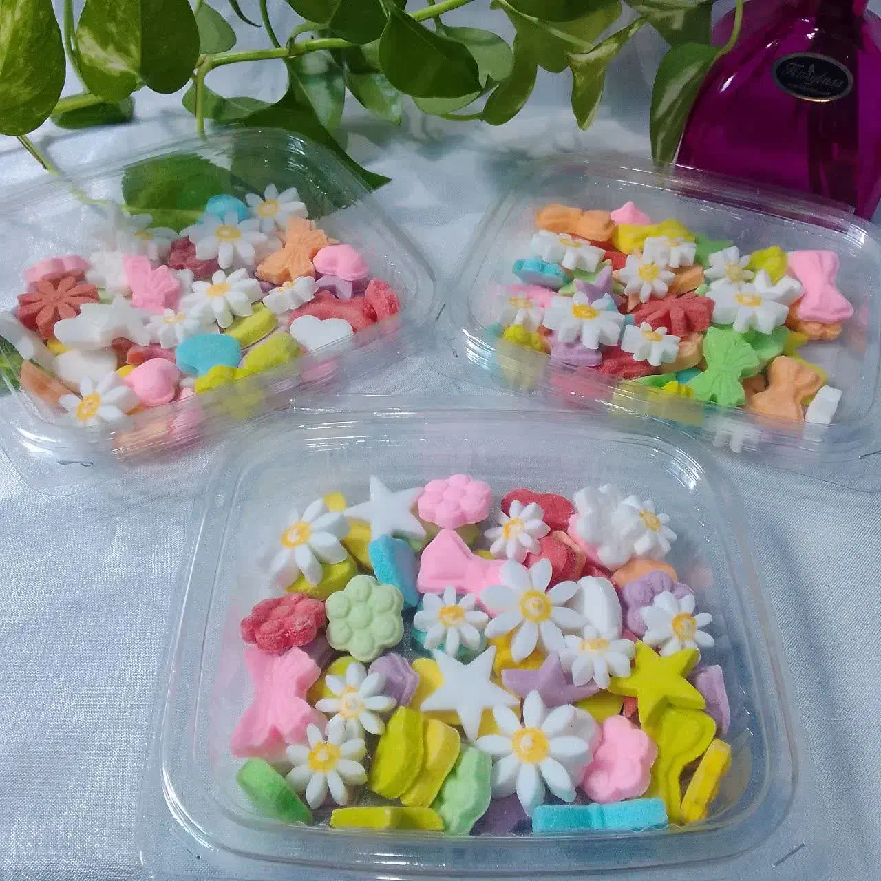 فروش محصولات|خوردنی و آشامیدنی|رشت, سلیمانداراب|دیوار