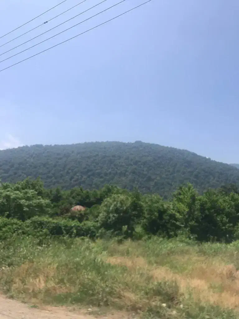 ۳۵۰متر زمین مسکونی بلوار سرولات قابل تهاتر|فروش زمین و ملک کلنگی|چابکسر, |دیوار