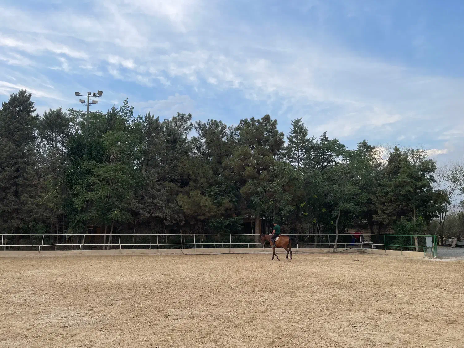 آموزش سوارکاری|خدمات آموزشی|تهران, بوستان چیتگر|دیوار