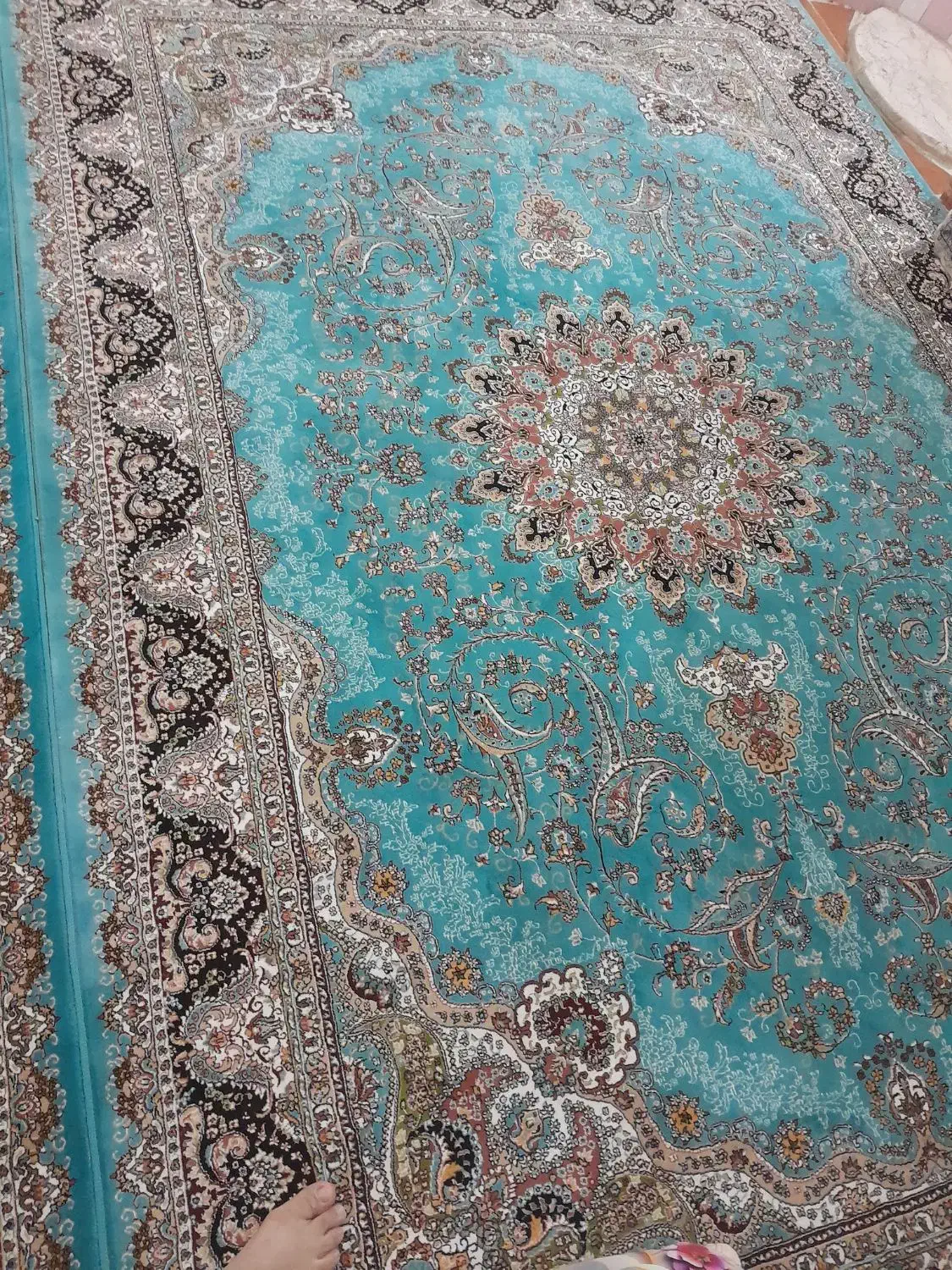 فرش شیش متری فروشی|فرش|دیواندره, |دیوار