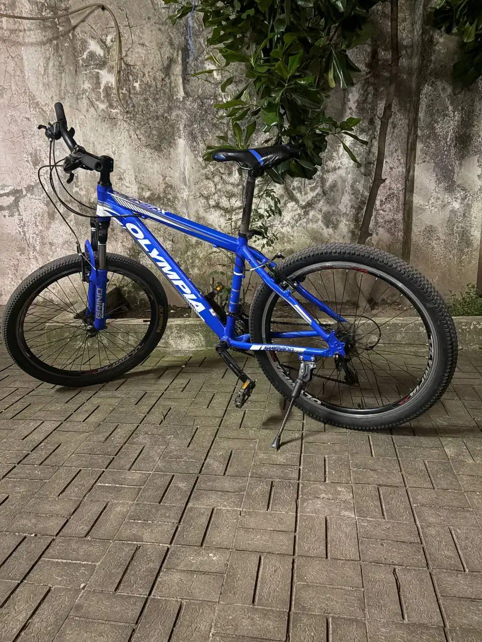 دوچرخه المپیا|دوچرخه، اسکیت، اسکوتر|رشت, هلال احمر|دیوار