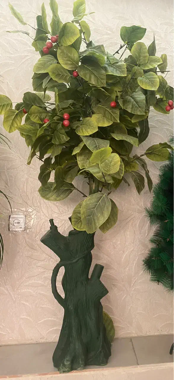 فروش درختچه کریسمس و گیلاس|گل مصنوعی|شیراز, کیان شهر|دیوار