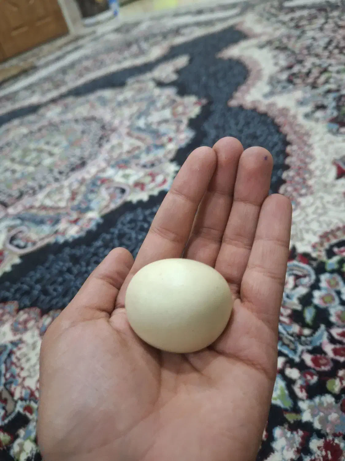 سنگ عتیقه|کلکسیون اشیاء عتیقه|حمیدیا, |دیوار