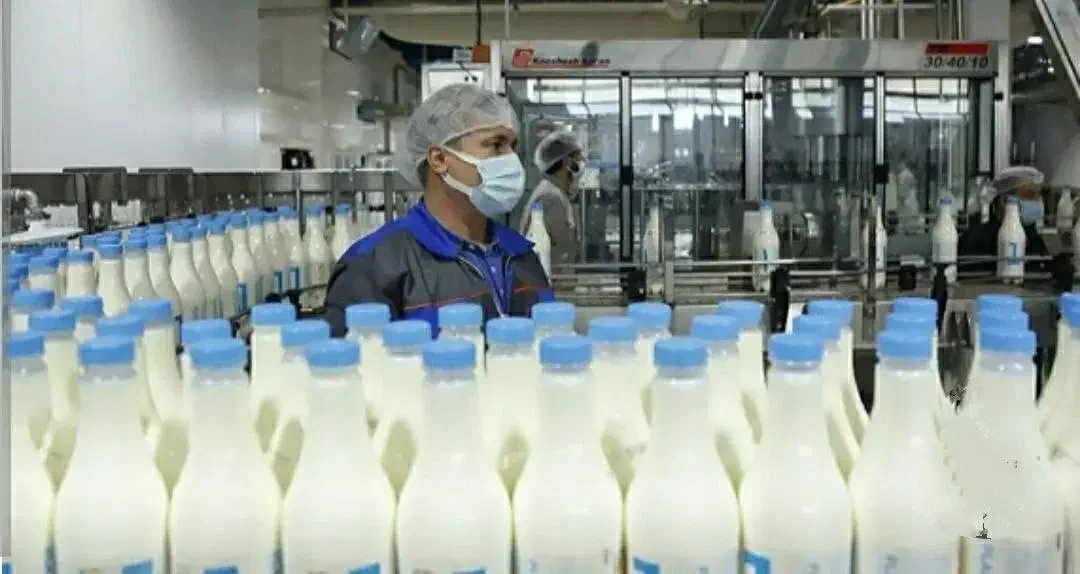 کارخانه لبنیات ( فروش با کلیه تجهیزات ) سند تک برگ|فروش دفتر صنعتی، کشاورزی، تجاری|تهران, عباسآباد|دیوار