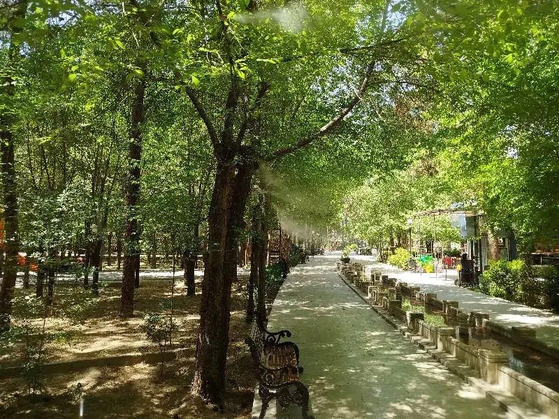 باغبانی|خدمات باغبانی و درختکاری|یزد, |دیوار