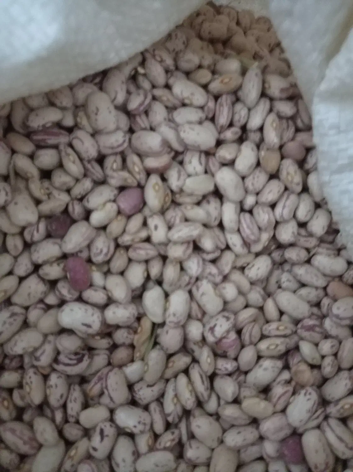 خشکبار|خوردنی و آشامیدنی|اسدآباد, |دیوار