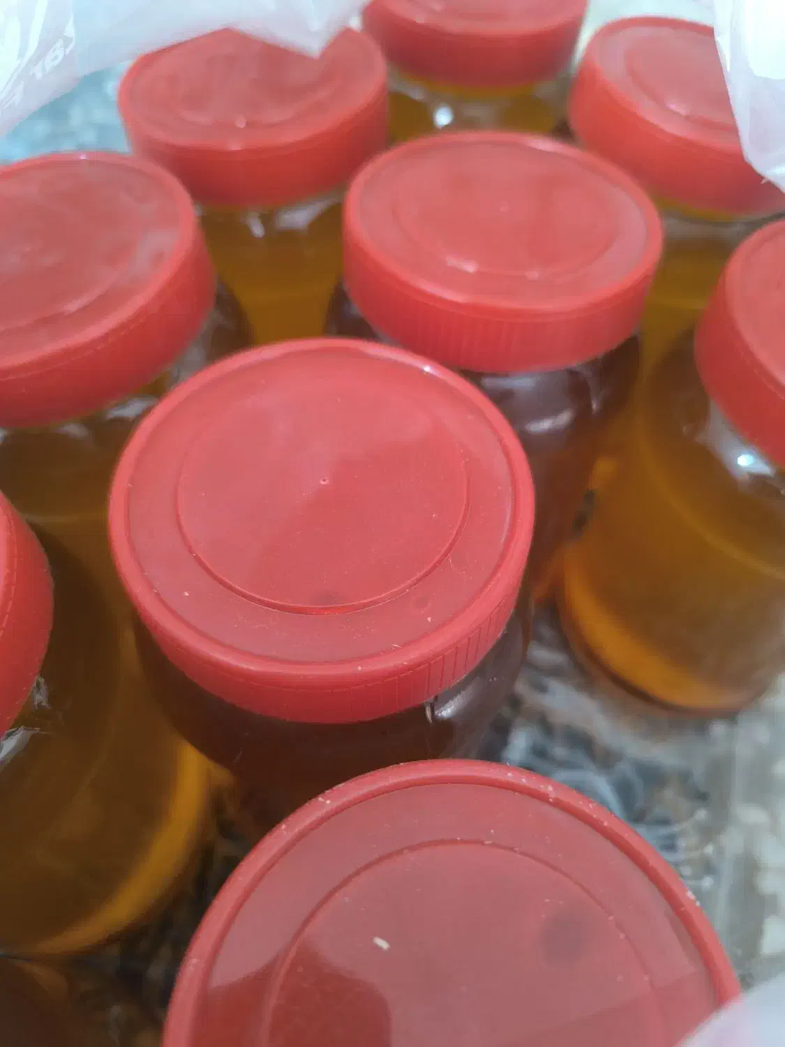 پخش عسل طبیعی تربت|خوردنی و آشامیدنی|تربتحیدریه, میدان مرکزی|دیوار