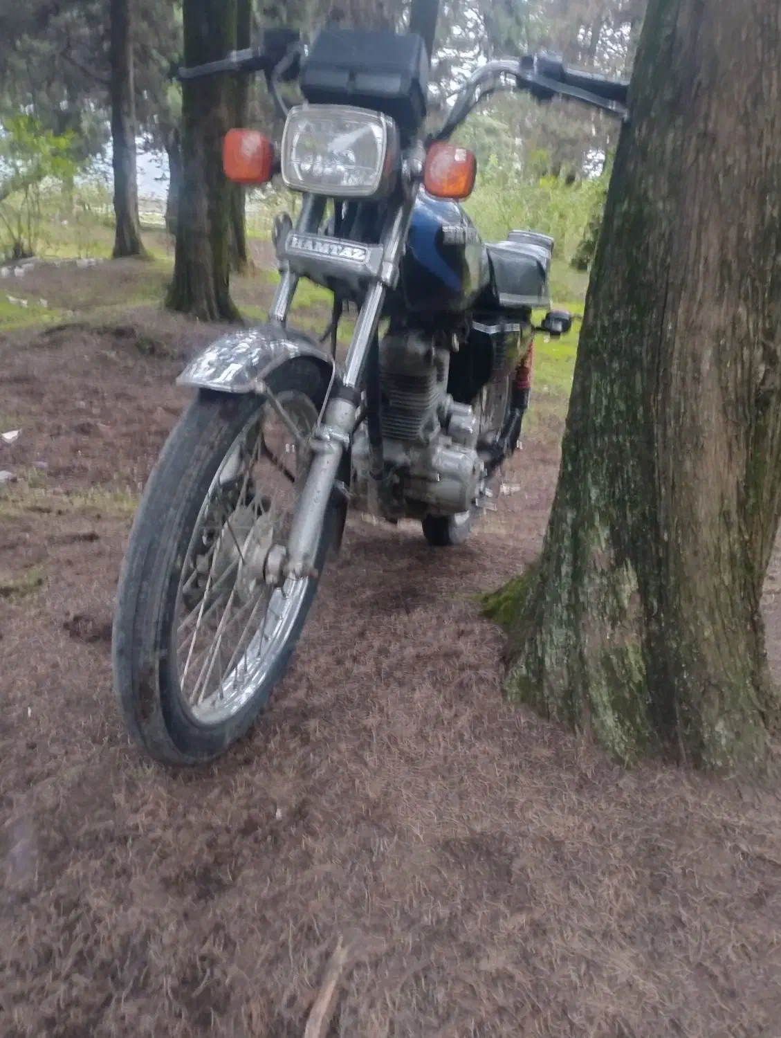 موتور سیکلت|موتورسیکلت|چوبر, |دیوار