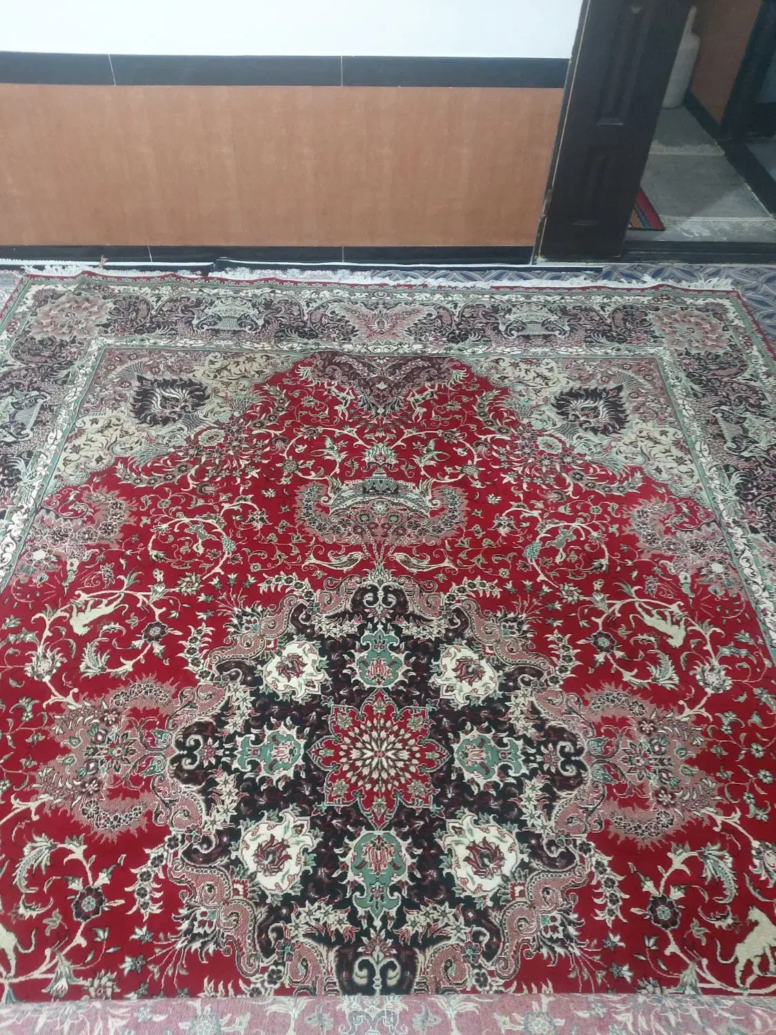 فرش ۱۲متری (۳در۴)|فرش|مهاباد (آذربایجان غربی), |دیوار