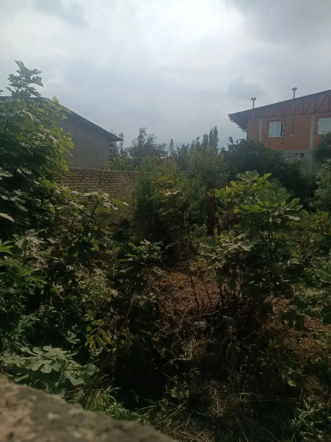 زمین شمال/بهر جاده بهشهر گرگان/مسکونی تجاری|فروش زمین و ملک کلنگی|گلوگاه, |دیوار