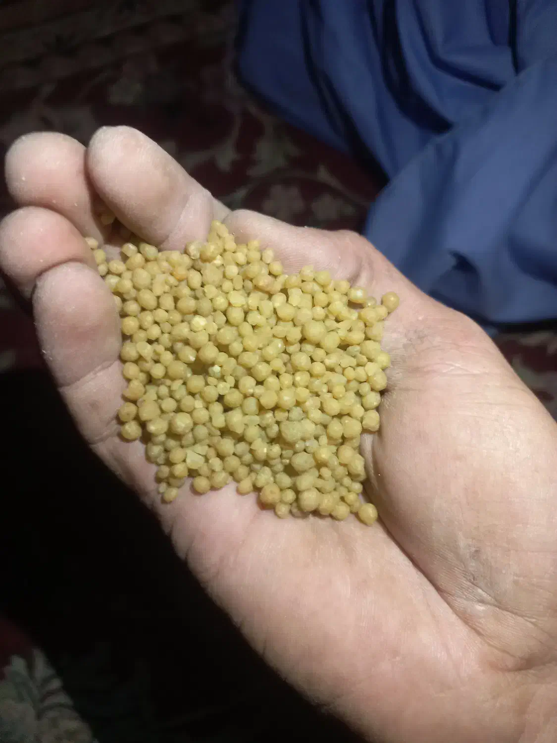 کود دی آمونیوم فسفات اصلی|عمده‌فروشی|قلعه گنج, |دیوار