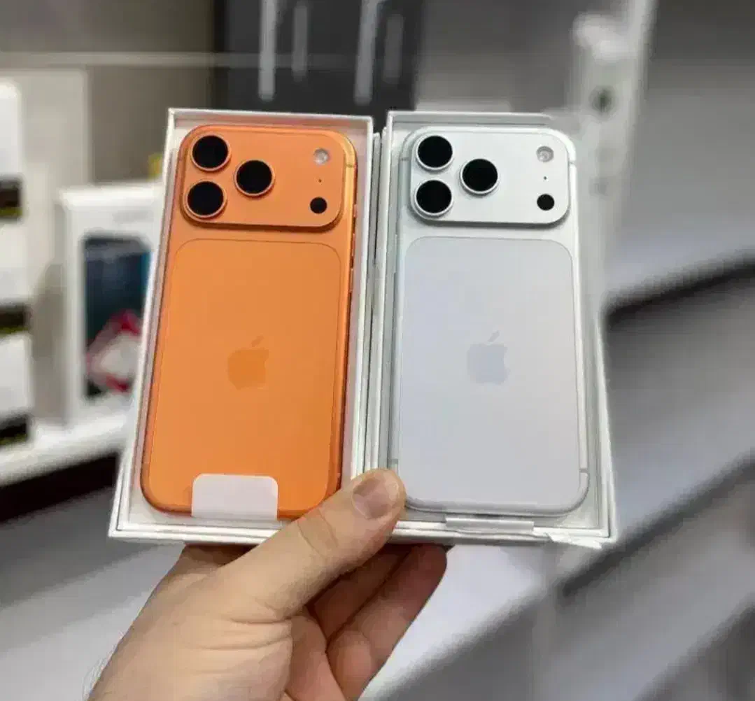 یک تـرا Mr copy*** بخوانیـد|موبایل|کرمان, |دیوار