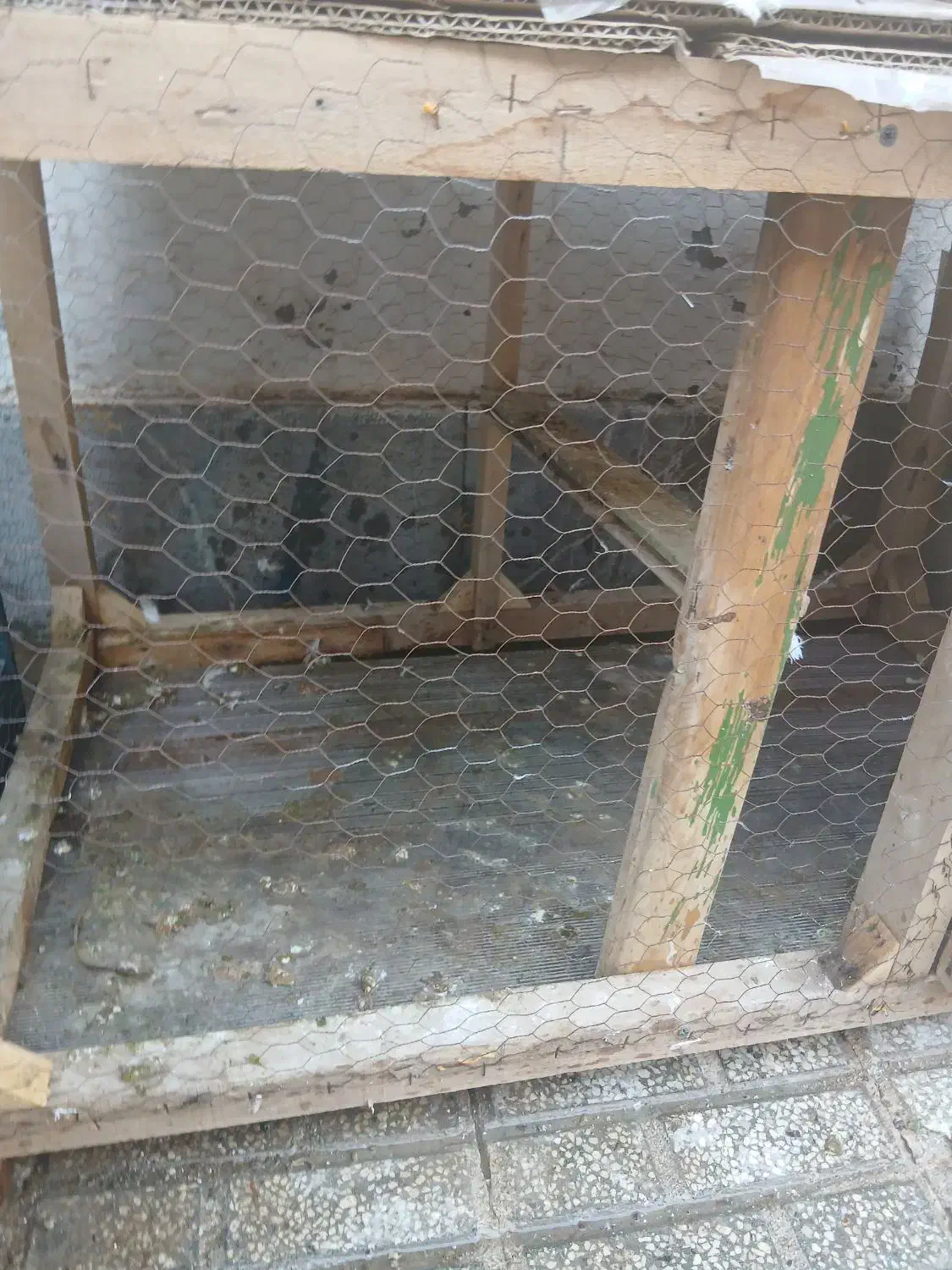 قفس|لوازم جانبی حیوانات|تربت‌حیدریه, بالا ولایت|دیوار