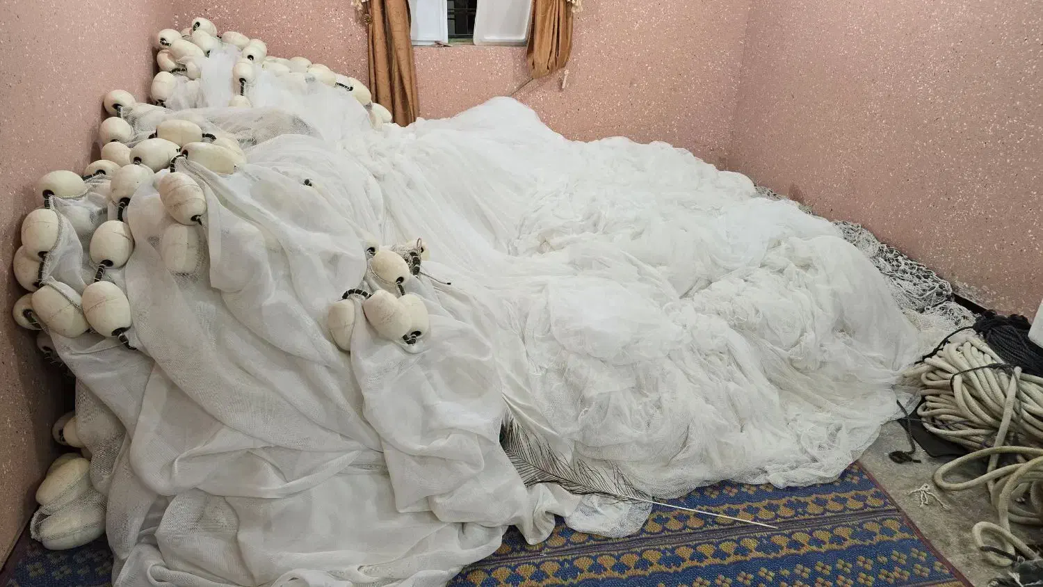 تور حشینه ومتو|ماهیگیری|بندرعباس, |دیوار