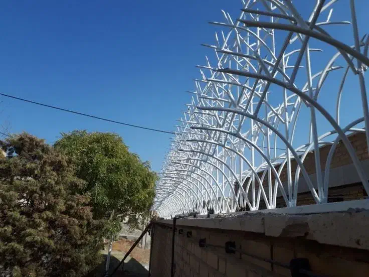 حفاظ شاخه گوزنی|خدمات پیشه و مهارت|بوشهر, |دیوار