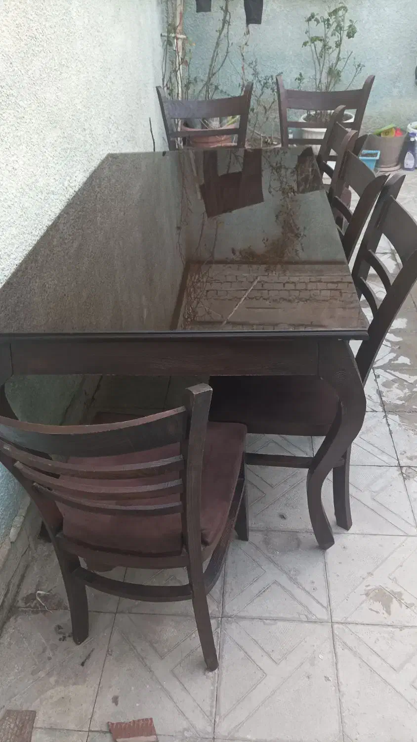 میز ناهارخوری حوری ۶ نفره|میز و صندلی غذاخوری|ابریشم, |دیوار