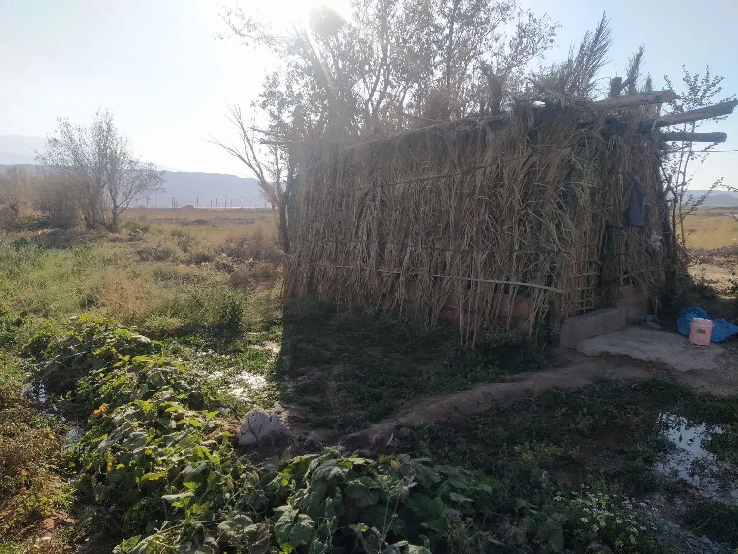 فروش زمین کشاورزی در راین روستای ده ملک|فروش زمین و ملک کلنگی|راین, |دیوار