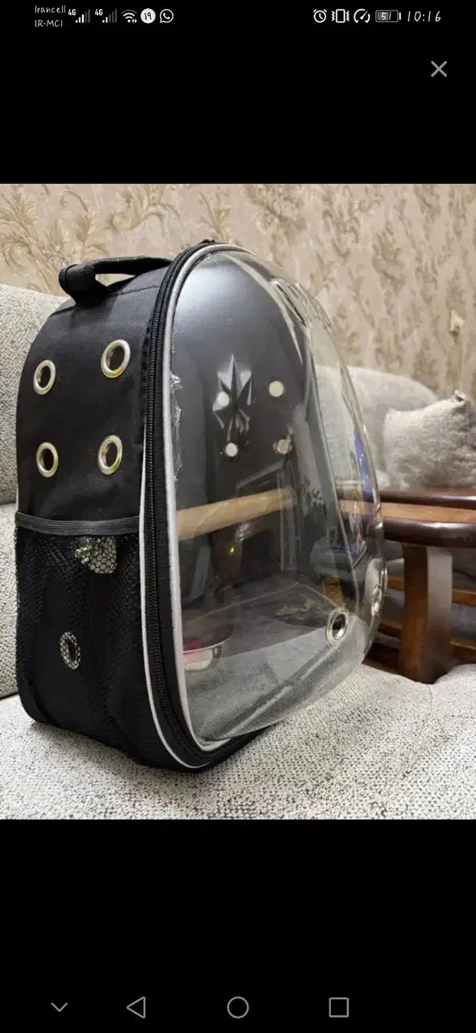 کوله پشتی حمل پرنده ( سگ و گربه )|لوازم جانبی حیوانات|مشهد, کوثر|دیوار