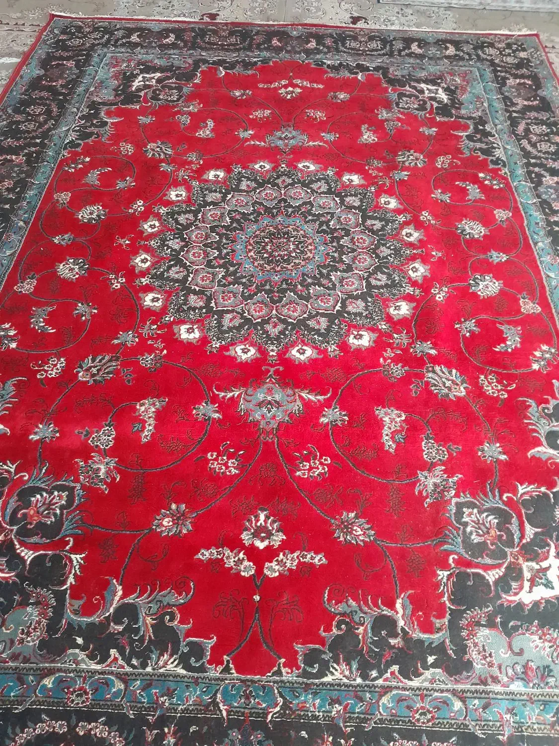 فرش 12متری|فرش|گلبهار, شهر جدید گلبهار|دیوار