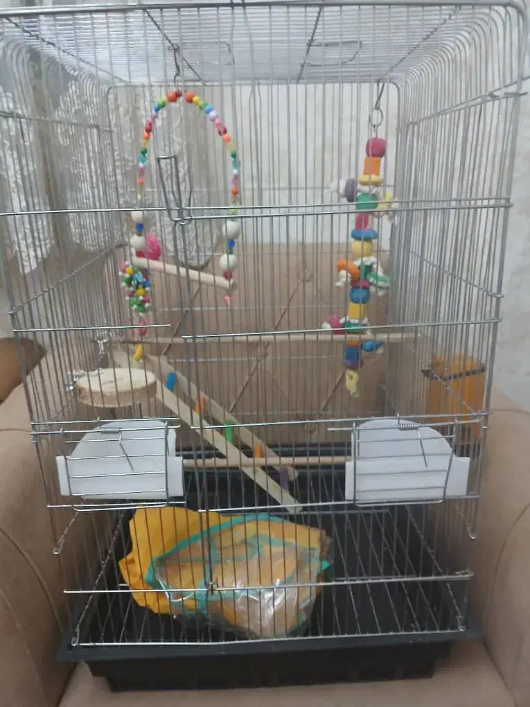 قفس پرنده با تمام وسایل|لوازم جانبی حیوانات|اندیشه, اندیشه فاز ۱|دیوار