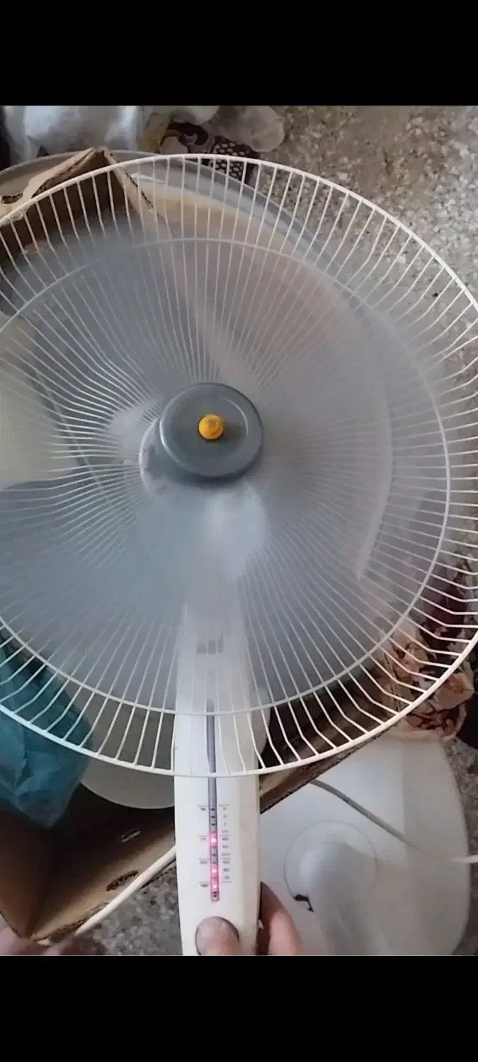 فروش فوری دوتا پنکه|پنکه و تصفیه‌کنندهٔ هوا|گنبد کاووس, |دیوار