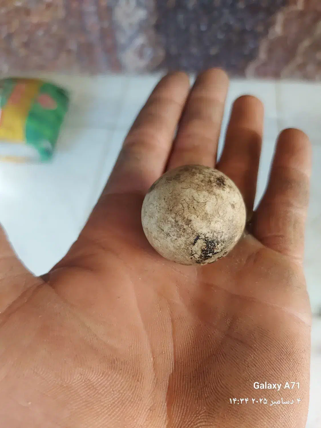 سنگ تخمه مرغی|کلکسیون اشیاء عتیقه|ارومیه, |دیوار