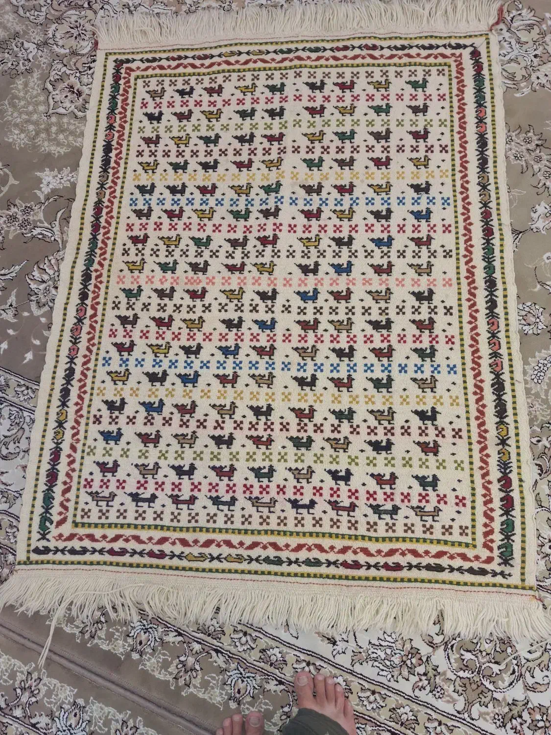 گلیم برجسته و گلیم تبه تبه با نخ مرینوس|گلیم، جاجیم، گبه|شیراز, رکن‌آباد|دیوار