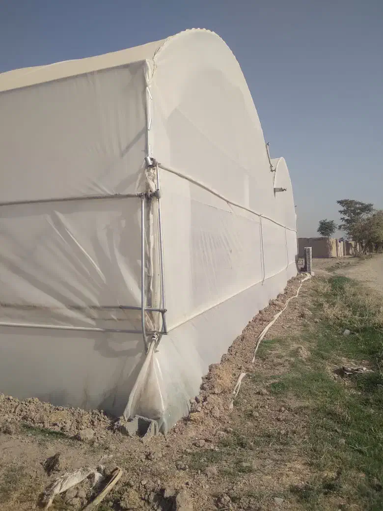 فروش زمین و گلخانه با سازه صنعتی|فروش دفتر صنعتی، کشاورزی، تجاری|تهران, خاوران|دیوار