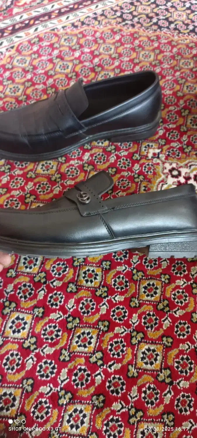کفش تمام چرم نو|کیف، کفش، کمربند|نقده, |دیوار