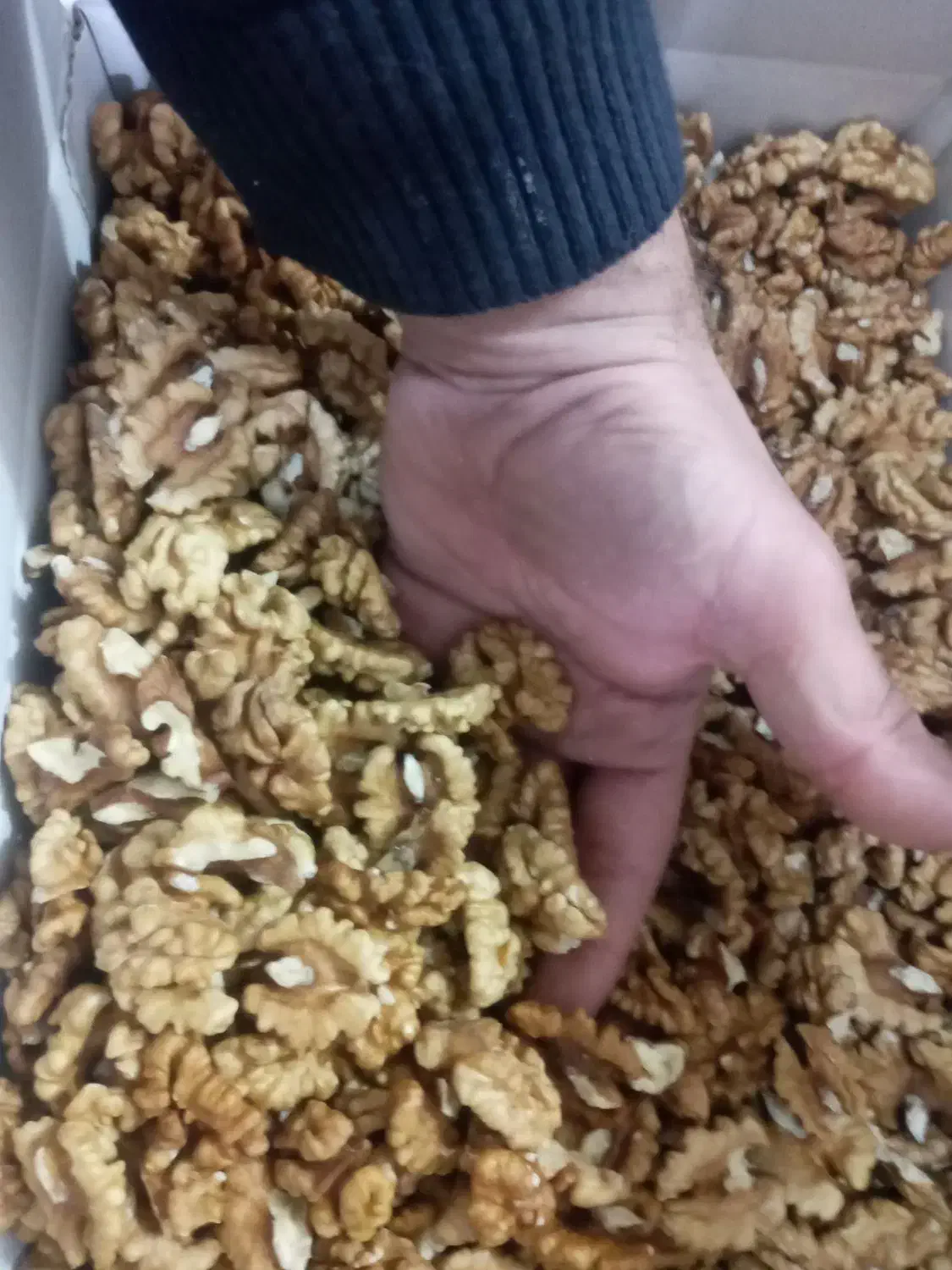 مغز گردو اعلاء|خوردنی و آشامیدنی|مشهد, ابوذر|دیوار