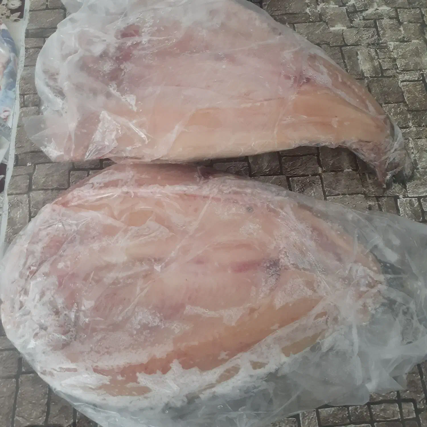 ماهی قزل آلا ۴۰۰گرم رستورانی|ماهی|سرپل ذهاب, |دیوار