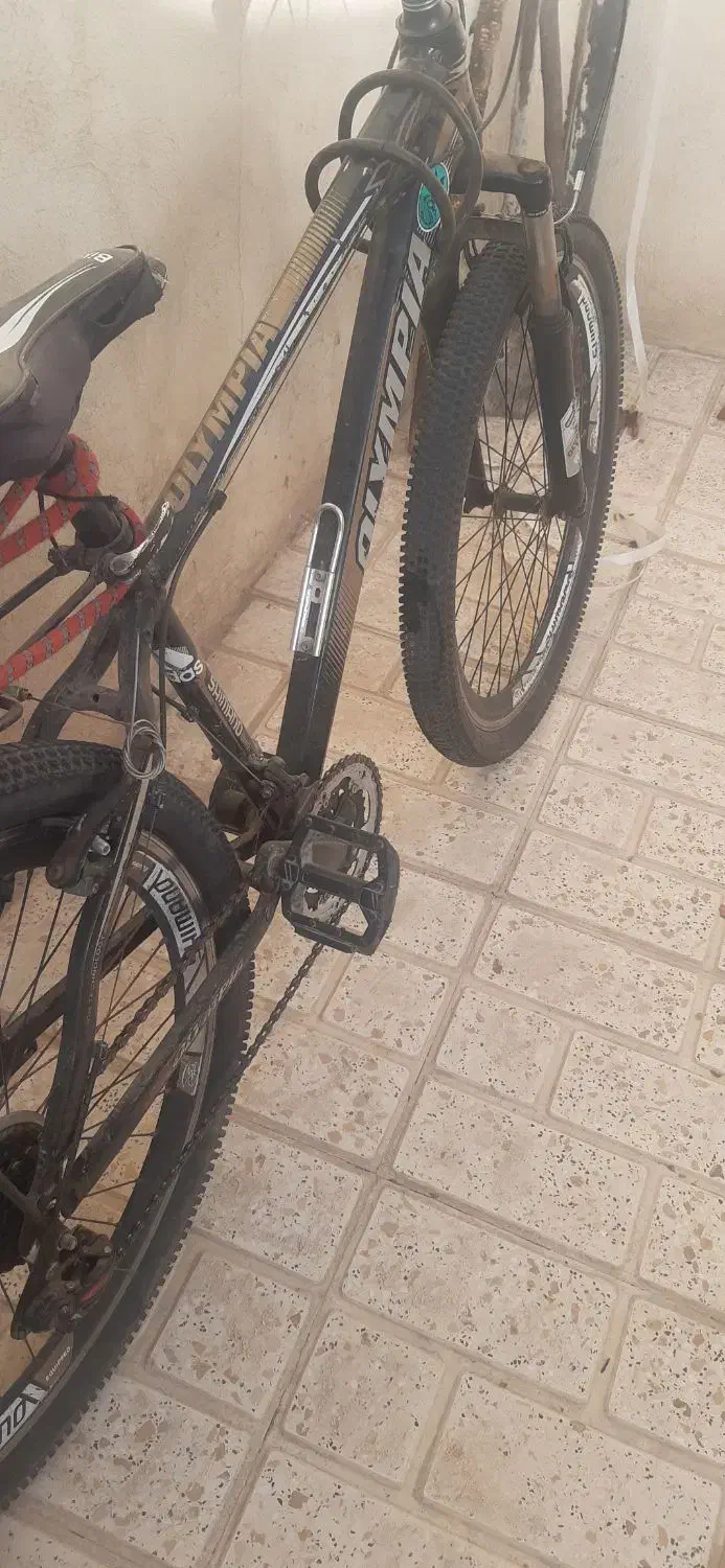 دوچرخه 26 تنه آلومینیوم|دوچرخه، اسکیت، اسکوتر|ماهدشت, |دیوار