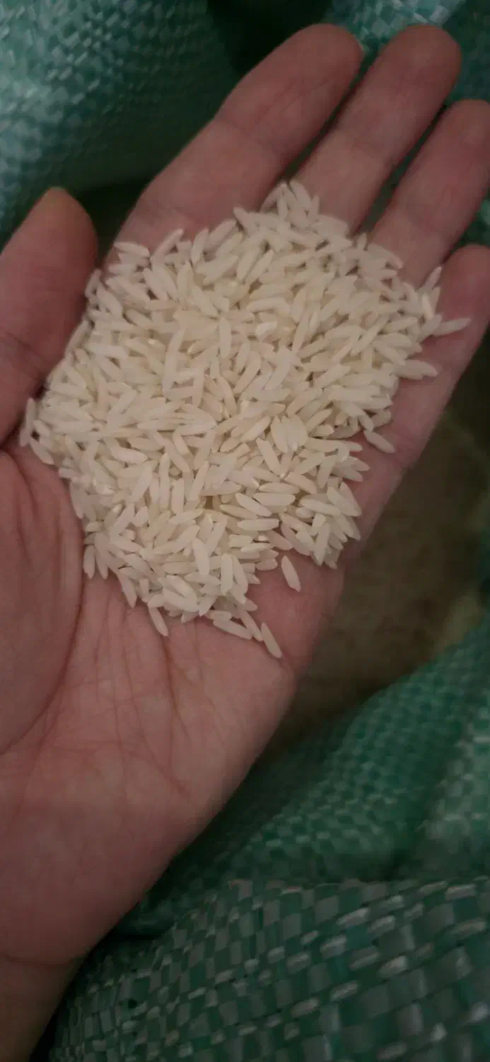 برنج طارم|خوردنی و آشامیدنی|قم, شهرک قدس|دیوار