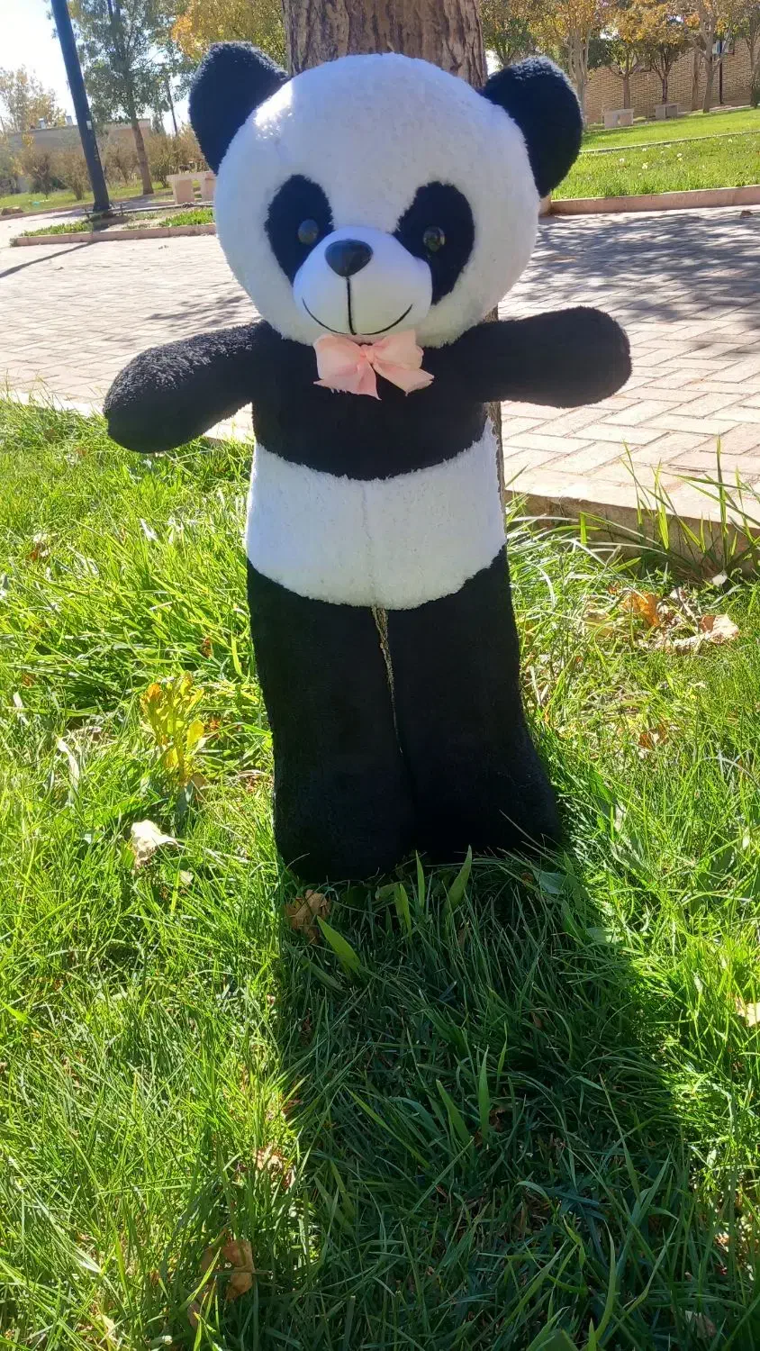 دوره کامل عروسک سازی برای اولین بار در قاین|خدمات آموزشی|قائن, |دیوار