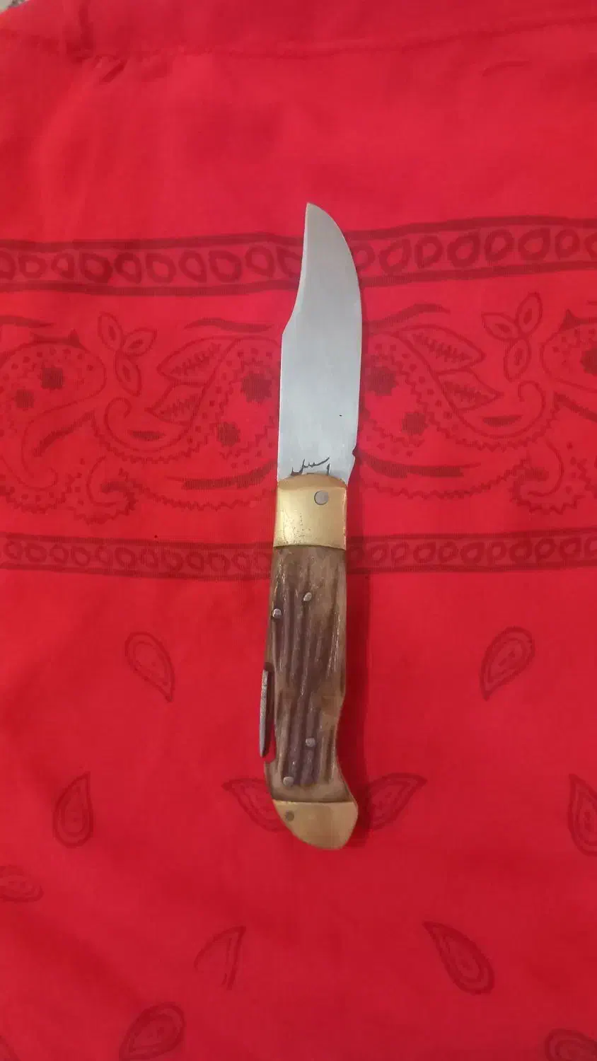 چاقو دسته شاخ تاشو|کوهنوردی و کمپینگ|گرگان, |دیوار