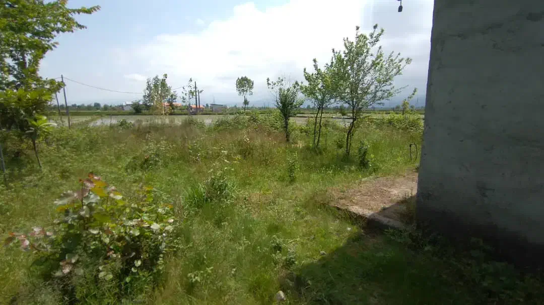 فروش ویلایی قابل بازسازی متراژکل زمین ۲۳۰مترباسند|فروش خانه و ویلا|املش, |دیوار