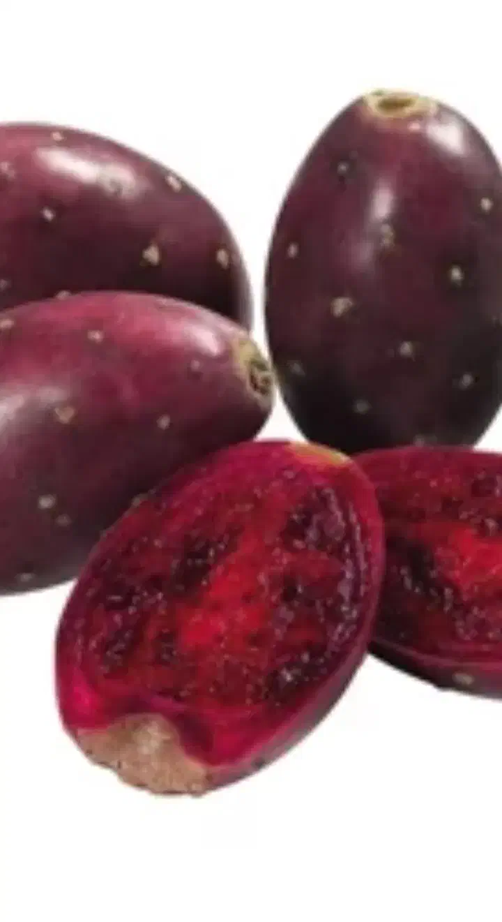 میوه کاکتوس اپونتیا|خوردنی و آشامیدنی|قم, حاج زینل|دیوار