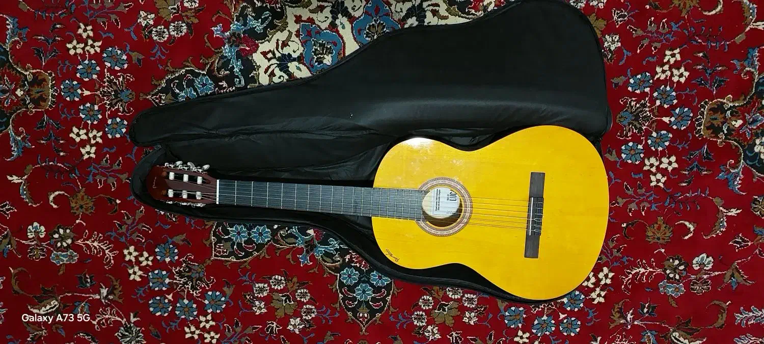 گیتار|گیتار، بیس، امپلیفایر|نجف‌آباد, گلدشت|دیوار